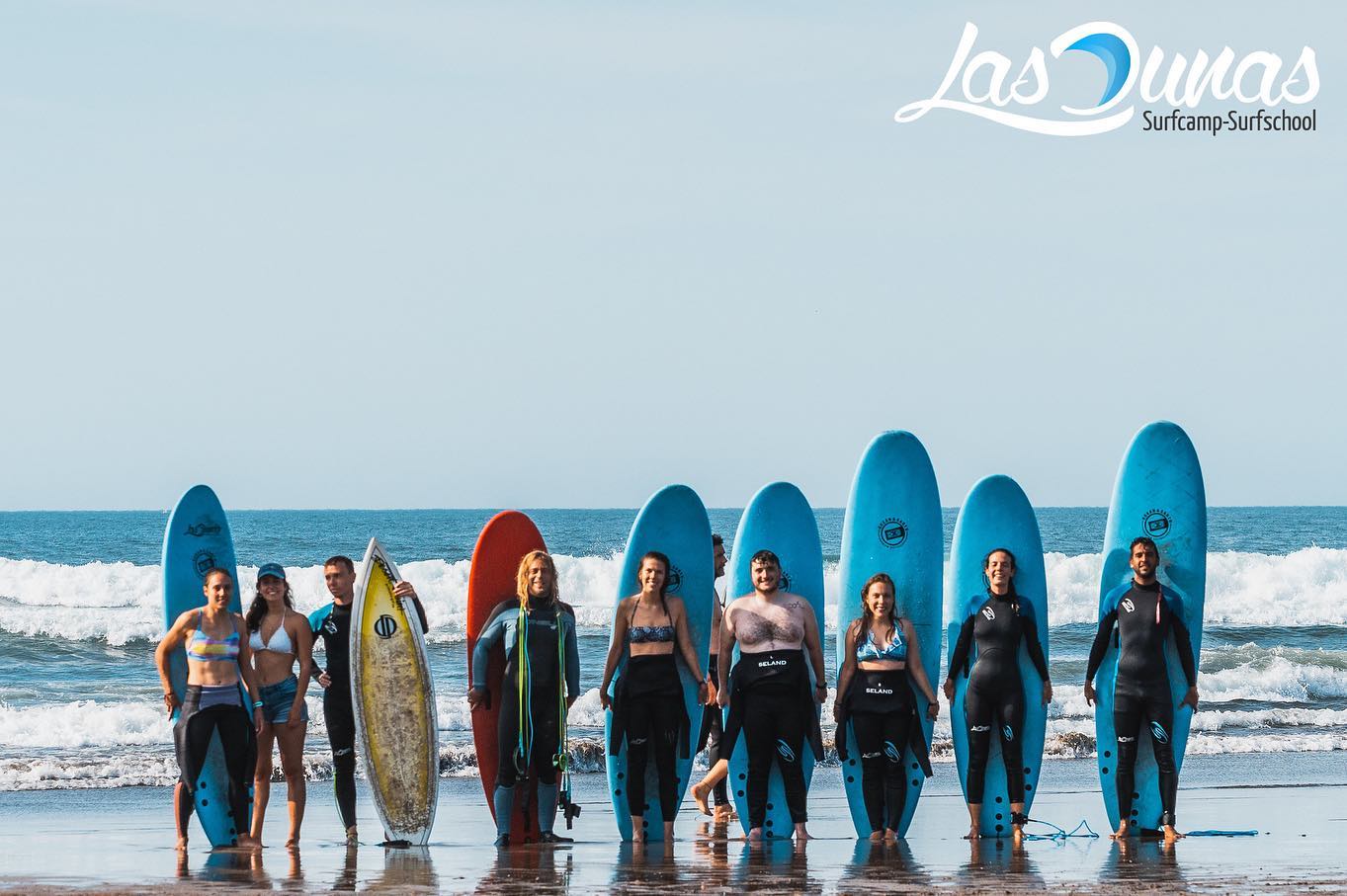Regala surf