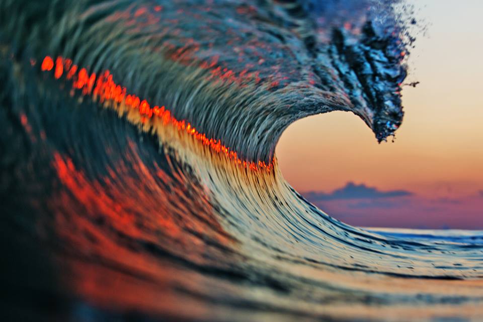 SURF. Foto: Matt Clark